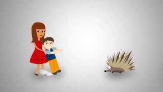 Allergy Drops For Pet & Environmental Allergies - Chicago IL