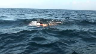 Swimming across The Strait of Gibraltar 2014   Jozef Bartaloš Lucie Leišová