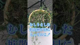 【160カメ】植物が人を攻撃しました！しかも急所を狙ってきてますよ！【庭の大開拓時代】 #shorts