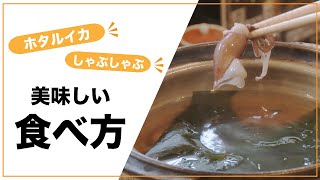 【プロの料理】これぞ富山グルメ！ホタルイカのしゃぶしゃぶ