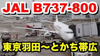 JAL日本航空 B737-800 東京羽田〜とかち帯広空港 普通席 搭乗記