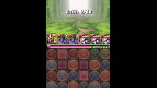 パズドラ【歴龍の大魔境】碧の孤島　チャレンジモード　光アヌビスPT(理事長）