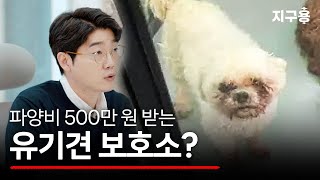 거기 '유기견 보호소' 아니고 '신종 펫숍'입니다