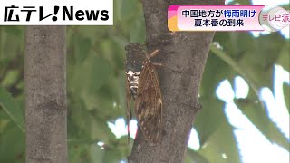 【夏本番の到来】平年より一日遅い　梅雨明け