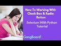 How To Working With Check Box & Radio Button | Selenium With Python Tutorial For Beginners