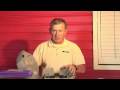 mice pest control how to get rid of field mice