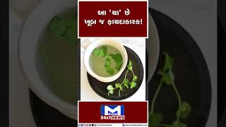 આ 'ચા' છે ખુબ જ ફાયદાકારક! | MantavyaNews #Tea #HealthTips #healthcare #TrendingNow #TRENDING