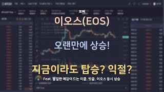 이오스(EOS) 상승 이유 그리고 전망