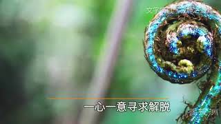 只有这样做，才能从六道轮回中解脱出来