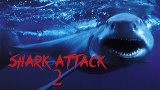Shark Attack 2 - Full Movie