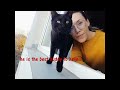 homeless adorable black kitten changes our lives