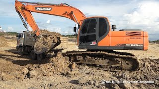 DOOSAN Excavator DX225LCA  Loading HYUNDAI Dump Trucks