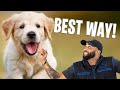 How To Train Your Puppy with Cali K9