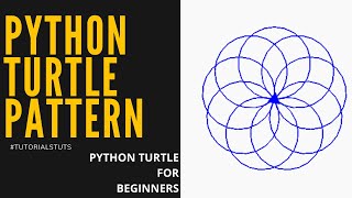 Simple Circle Pattern in Python Turtle | Python turtle graphics tutorial