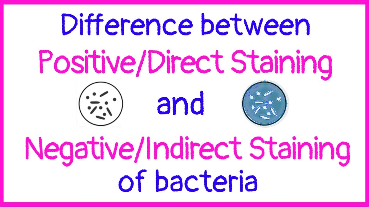 Difference Between Positive And Negative Symptoms
