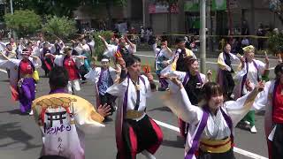 【4K】team IZUMO　YOSAKOIソーラン祭り　平岸会場