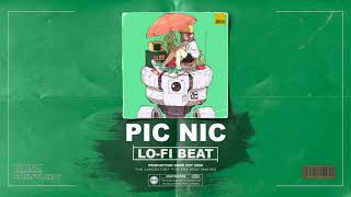 🔥 Picnic | Lo Fi Type Beat | 2642