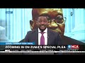 Discussion: Zooming in on Zuma's special plea