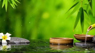 Beautiful Relaxing Music - Soothing Piano Music \u0026 Water Sounds for Deep Sleep, Meditation, Spa, Yoga