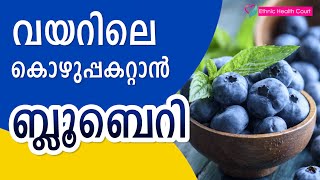 വയറിലെ കൊഴുപ്പകറ്റാൻ ബ്ലൂബെറി | Blueberries to reduce belly fat | Ethnic Health Court