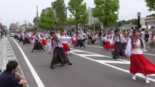 能登よさこい2016 白鷺童子さん県道通り