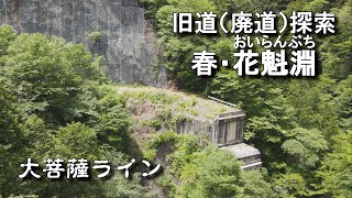 旧道（廃道）探索⑥ 春・花魁淵と一之瀬高橋トンネル【大菩薩ライン（R411・青梅街道）】