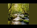 Harmony of Life