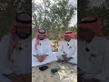 التقرير الاسبوعي مع الفلكي و الحساب الزراعي العم سعيد الغفيري