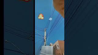 World🌎Smallest Kite Ever Small Patang Flying Kite Lover❤️#shorts #patangflying #small #kite #viral