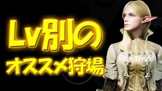 【リネージュ2M】リネツー討論会!レベル別のオススメ狩場!オーラフラッシュ狙うならココ‼