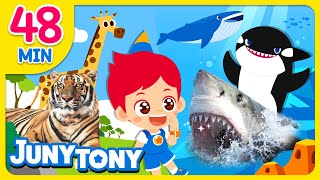 Animal Songs Compilation🐯 | Shark, Tiger, Animal Poo Poo Song 🦁🦈+More | Kids Songs | JunyTony