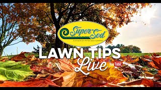 November Lawn Tips Live from Super-Sod of Alpharetta, GA - Lawn Care Advice for the Southeast