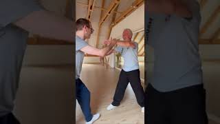 Tui Shou training with Florian #taijiquan #taichi #tuishou  #martialarts #kungfu  #chuancheng #aarau