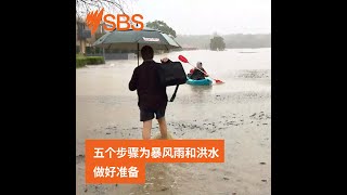 如何為風暴和洪水做好準備 | Australia Explained | Cantonese #sbsaudio