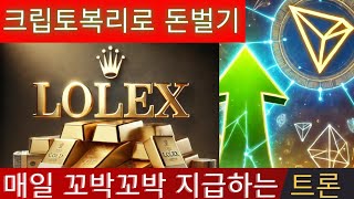 lolex 돈벌기 부업 소액투자 수익률이 진짜 다르다 거기다 테더 리플 크립토 crypto 출금도 withdrawal 이렇게 쉅다니 믿을수없는 코인적립식투자일지