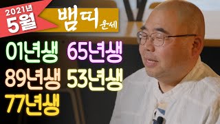 뱀띠 자세를 낮춘다면 10배 100배 더!! | 2021년 5월 뱀띠운세 01년생 89년생 77년생 65년생 53년생