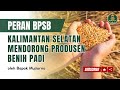 Peran BPSB Kalimantan Selatan Mendorong Produsen Benih Padi