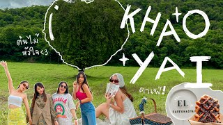 Khao yai | 1 day trip | ถ่ายรูปต้นไม้หัวใจ ไปนั่งคาเฟ่ ที่เขาใหญ่