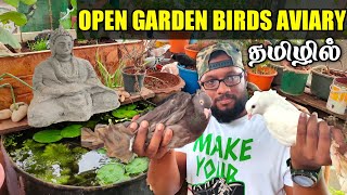 Open Garden Birds Aviary | Karthick's Aviary | தமிழில் | Fancy Birds Chennai.