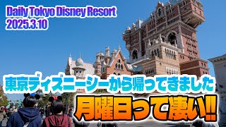 パークから帰ってきました!! 今日のパークの状況 2025.3.10 / 東京ディズニーリゾート