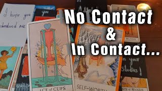 Current feelings (no Contact & In contact) Zeel tarot