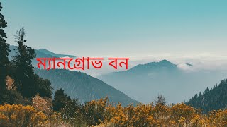 ম্যানগ্রোভ বন কি??? কেন সুন্দরবনকে ম্যানগ্রোভ বন বলা হয়??? ৯ম-১০শ্রেণি ভূগোল।