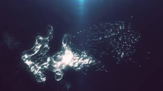 Water Animation After Effects | Tutorial using Trapcode Particular