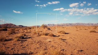 Desert Homestead Lodge - Horse Trails - Ondili Lodges