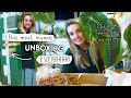 i'm still in shock... AMAZING Rare Plant Unboxing 🌱 Aroid Market Houseplant Haul