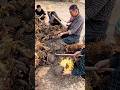 Sunflower seeds manual threshing process