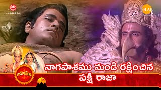 రామానంద్ సాగర్ రామాయణం | నాగపాశము నుండి రక్షించిన పక్షి రాజా | Tilak Telugu