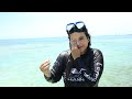 gasparilla island florida sand bar snorkeling travel guide