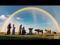 noah’s ark the incredible story of faith and animals