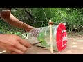 creative unique quick parrot trap using 5 liters bottle paper and woods bird trap working 100%